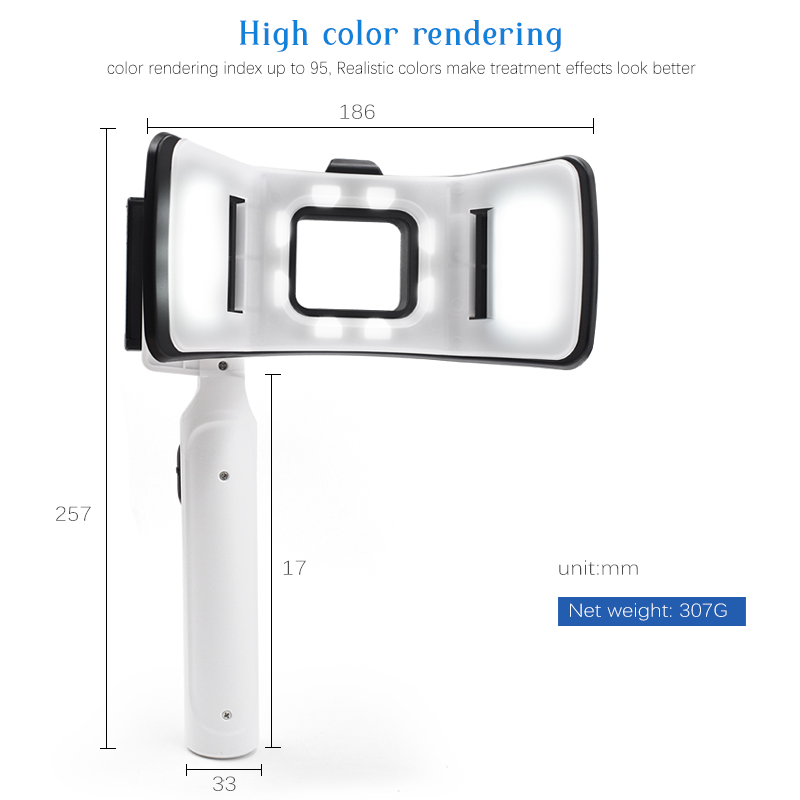 Professionelles Doppelblitz-Li – Photography Mobile Lighting Bewertung und Preis